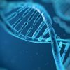 DNA tecnológico