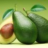 Benefícios do Abacate