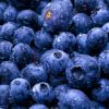 Benefícios da Blueberry