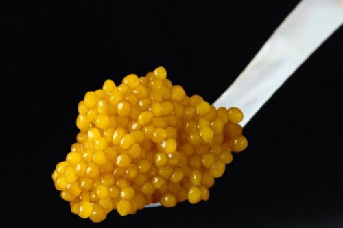 Ouro e Caviar, ativos nobres na hidratação e função da barreira